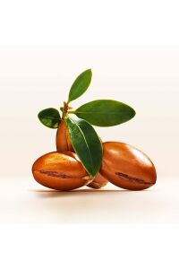 Pantene Saç Bakım Yağı Argan Özlü Elixir Yağ Terapisi 100 ml