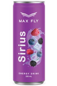 Max Fly Enerji İçeceği Karma Paket 250 ml 24 Adet