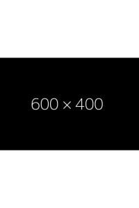 VİLEDA ACTIFIBRE SOFT UNIVERSAL x15