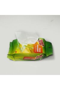 Scotch Brite Silsüpür Paspas Q600 Yedek Bez