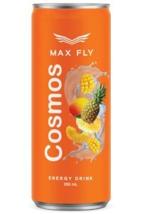 Max Fly Enerji İçeceği Karma Paket 250 ml 12 Adet