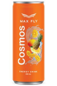 Max Fly Enerji İçeceği Karma Paket 250 ml 12 Adet