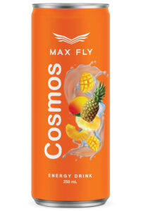 Max Fly Enerji İçeceği Karma Paket 250 ml 12 Adet