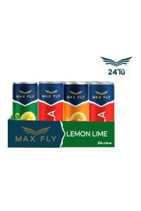 Max Fly Gazlı İçecek Karma Paket 250 ml 24 Adet