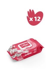 CLAPPERS Deria Islak Mendil 120 Yaprak 12'li Paket