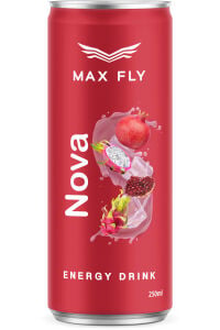 Max Fly Nova Enerji 250 ml 12 Adet