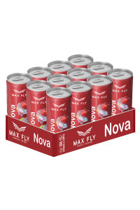 Max Fly Nova Enerji 250 ml 12 Adet