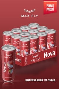 Max Fly Nova Enerji 250 ml 12 Adet