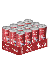 Max Fly Nova Enerji 250 ml 12 Adet