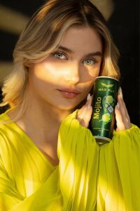 MAX FLY MOJİTO ENERJİ İÇECEĞİ 250 ML 24 ADET