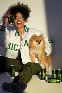 Max Fly Mojito Enerji İçeceği 250 ml 24 Adet