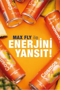 Max Fly Cosmos Enerji İçeceği 250 ml 12 Adet