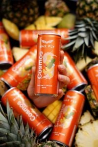 Max Fly Cosmos Enerji İçeceği 250 ml 12 Adet