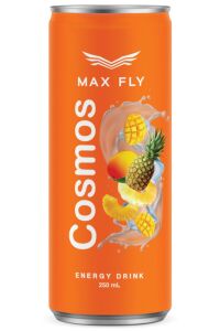 Max Fly Cosmos Enerji İçeceği 250 ml 24 Adet