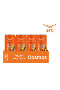 Max Fly Cosmos Enerji İçeceği 250 ml 24 Adet