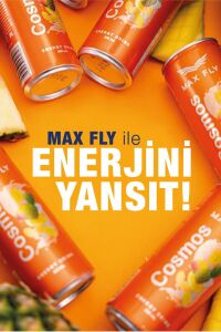 Max Fly Cosmos Enerji İçeceği 250 ml 24 Adet