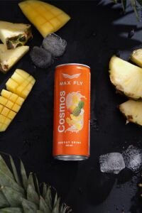 MAX FLY COSMOS ENERJİ İÇECEĞİ 250ML 24 ADET