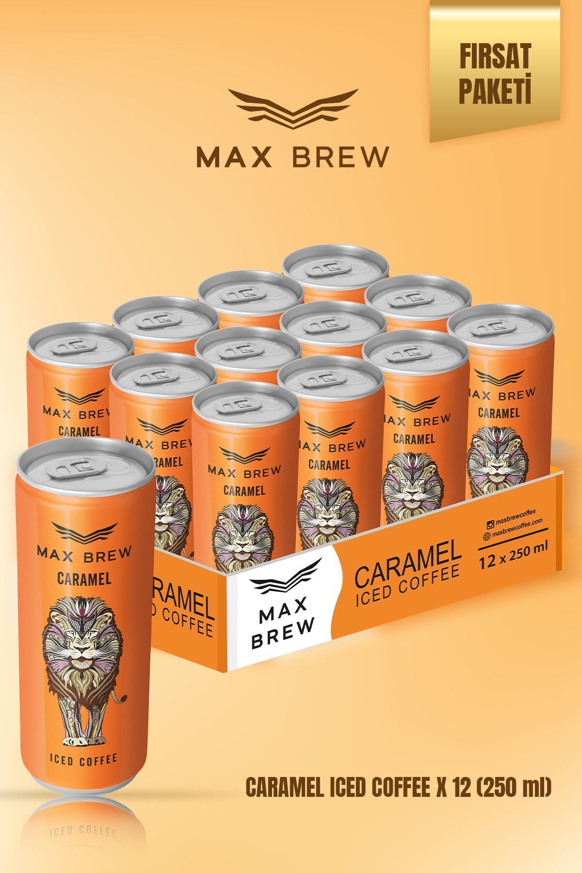 Max Brew Caramel Soğuk Kahve 250 ml 12 Adet